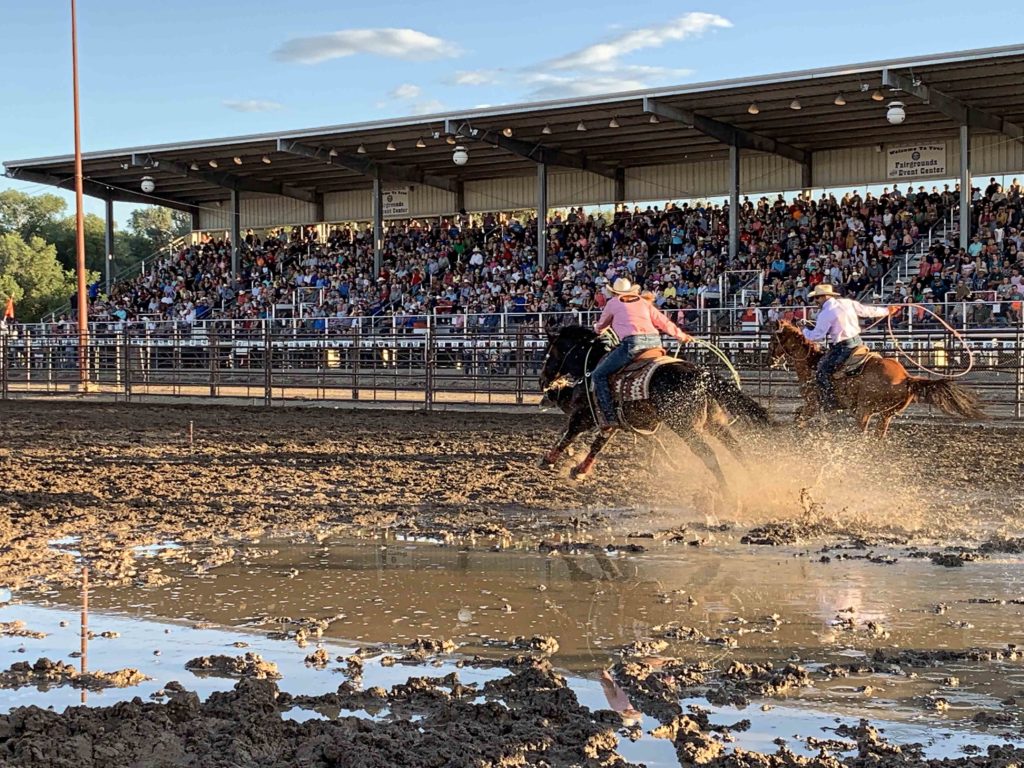 outdoor arena with 2 horses racing through mud