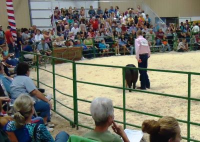 Montrose County Event Center