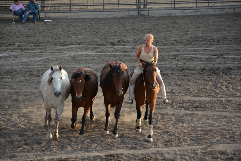 Montrose County Fairgrounds Mustang Maddie