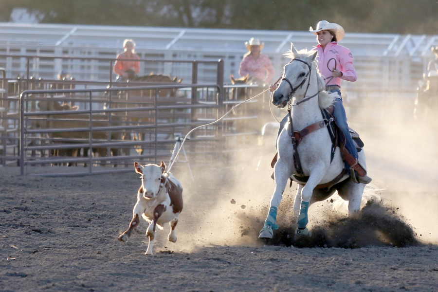 calf roping in outdoor arena