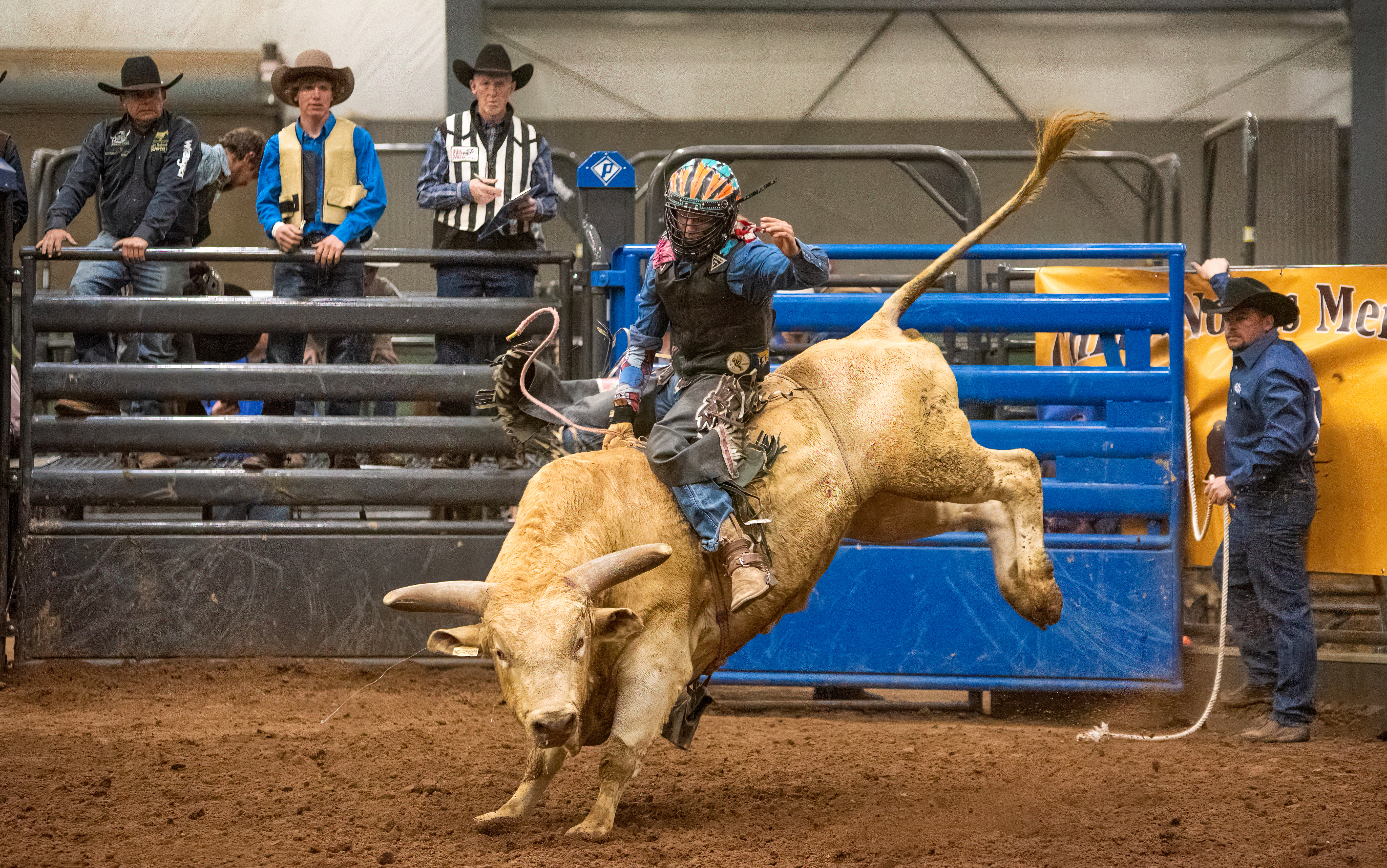 Buck It Bullriding rider on tan bull