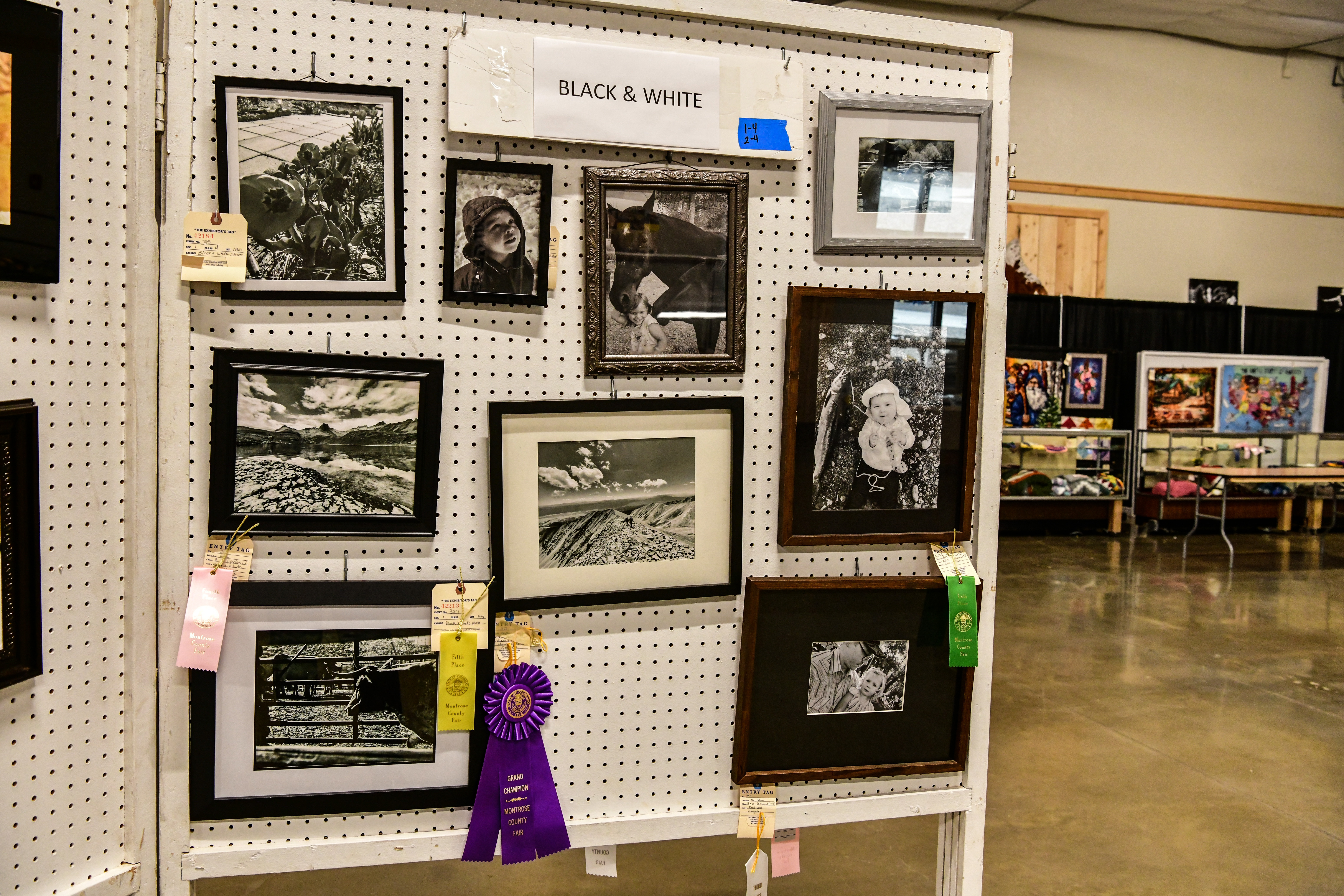 Photos hung during fair and rodeo in the banquet hall